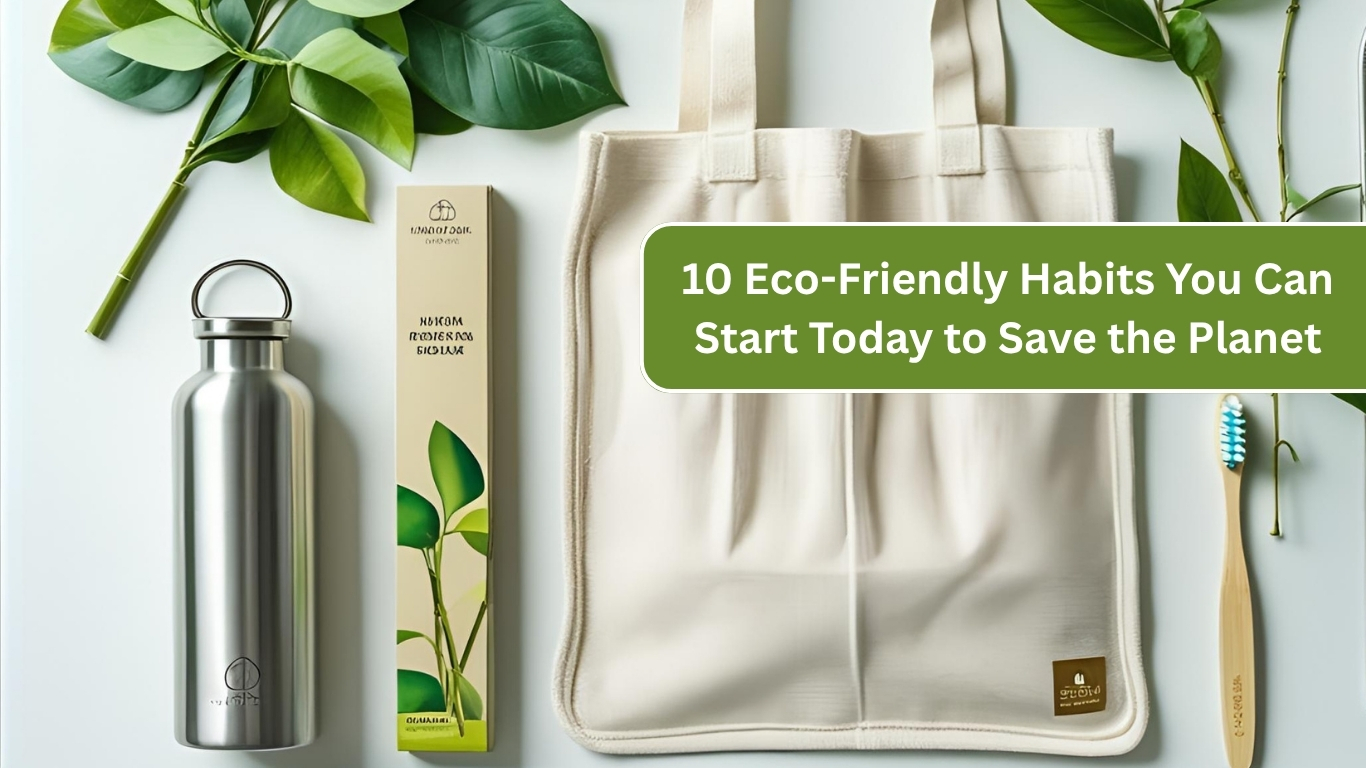 10 Eco-Friendly Habits You Can Start Today to Save the Planet