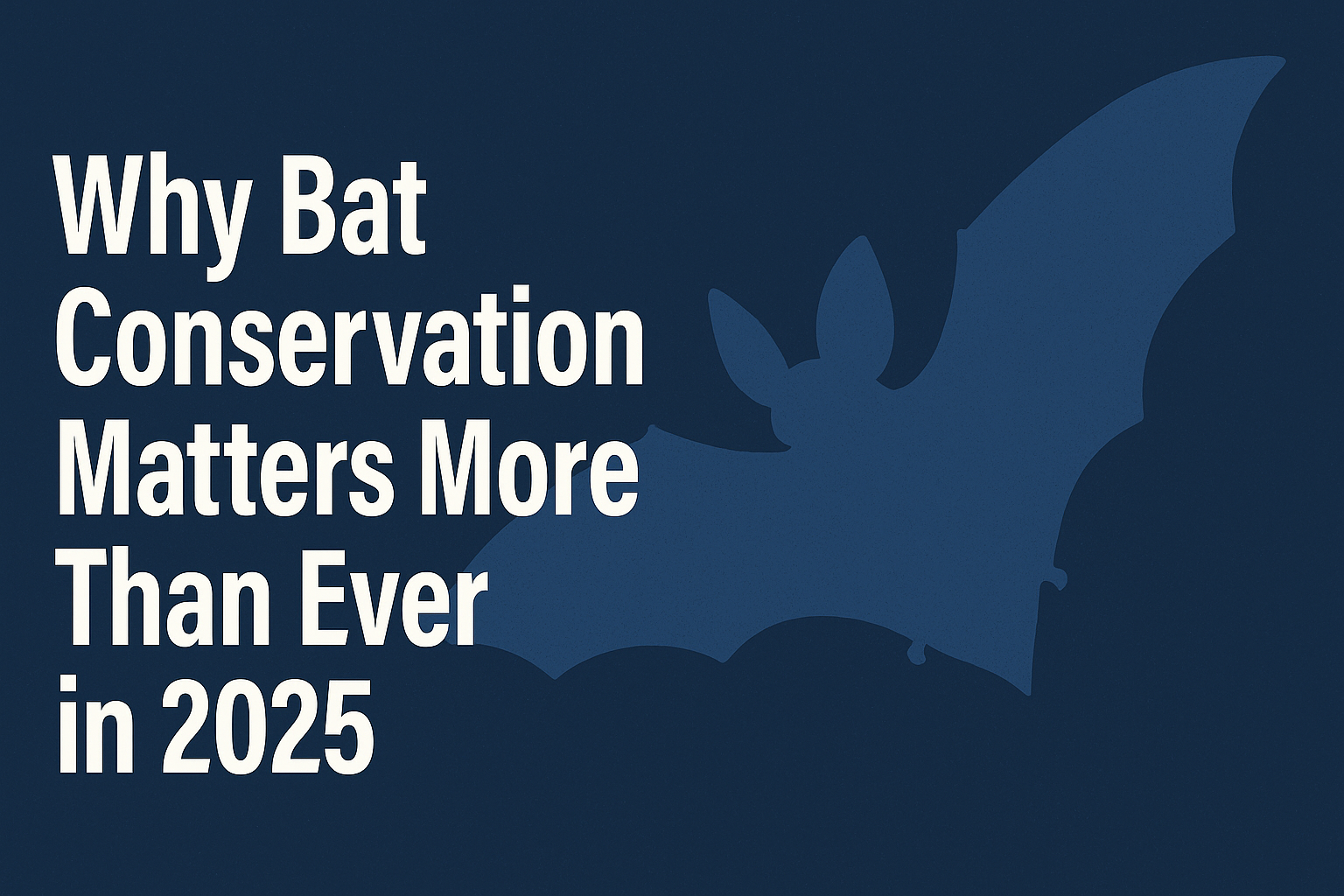 Why Bat Conservation Matters More Than Ever in 2025