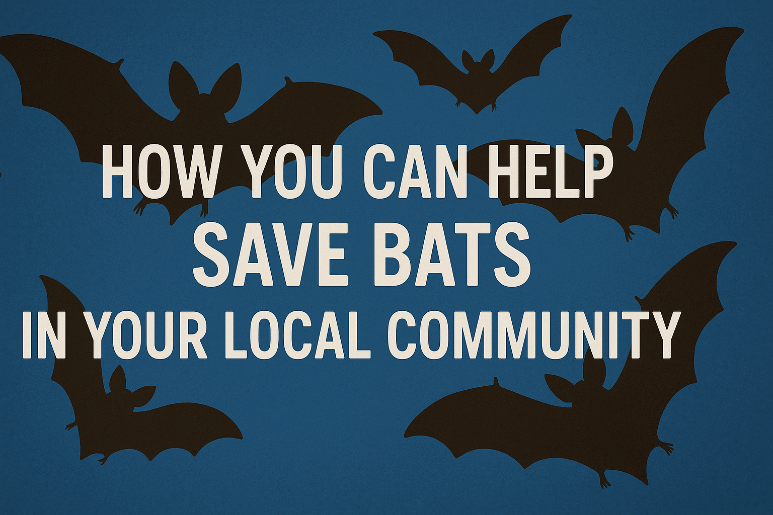 How You Can Help Save Bats in Your Local Community