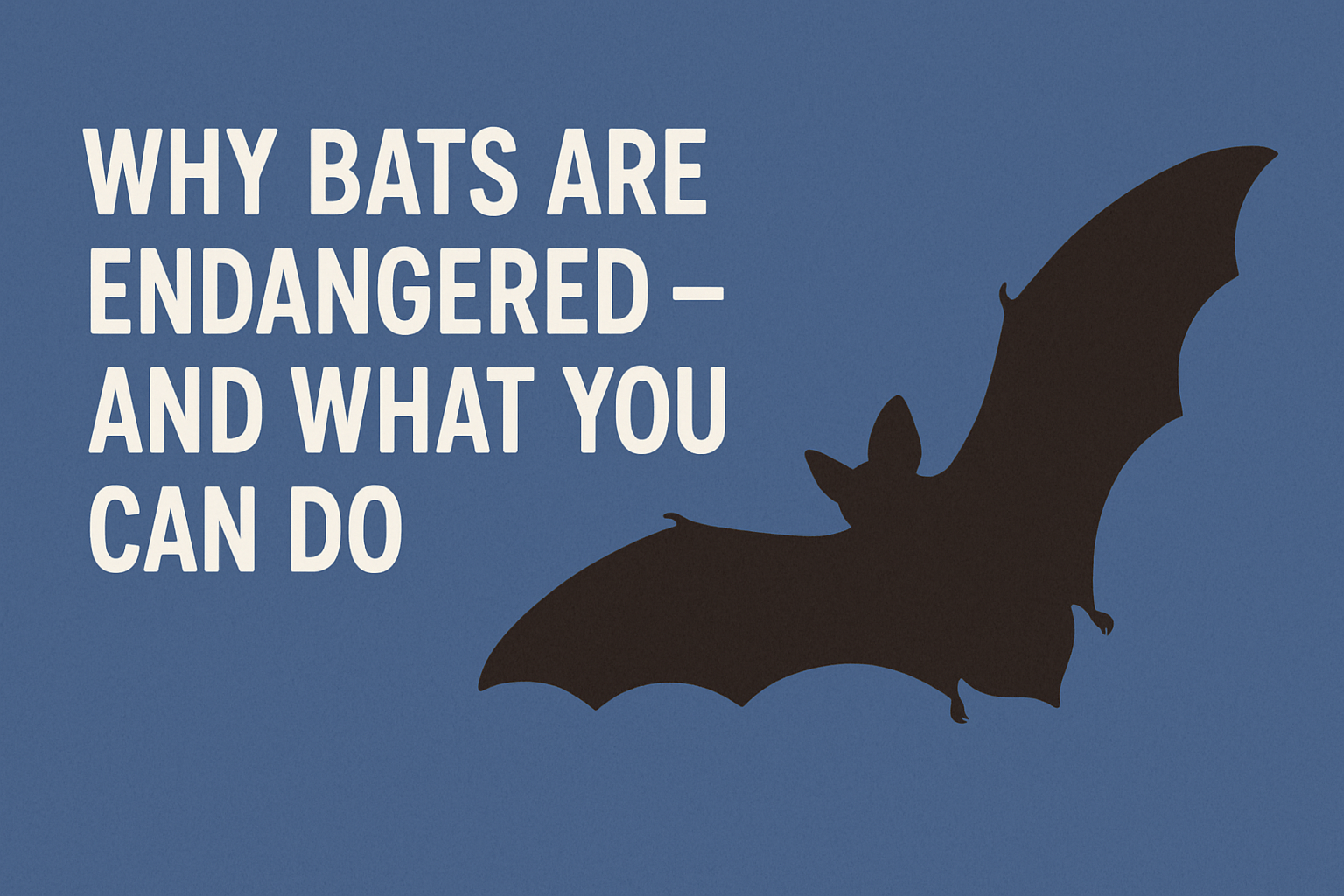 Why Bats Are Endangered