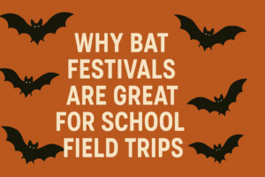 Why Bat Festivals Are Great for School Field Trips