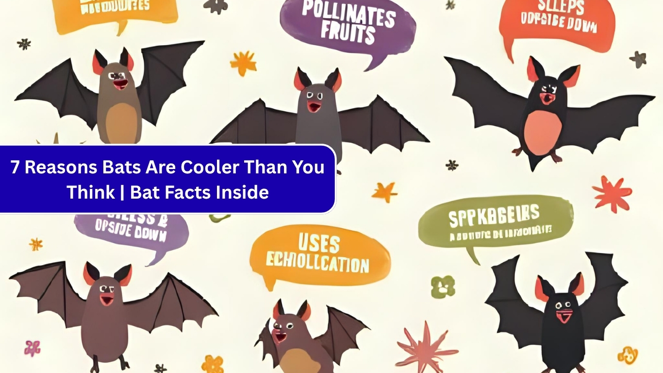 Reasons Bats Are Cooler