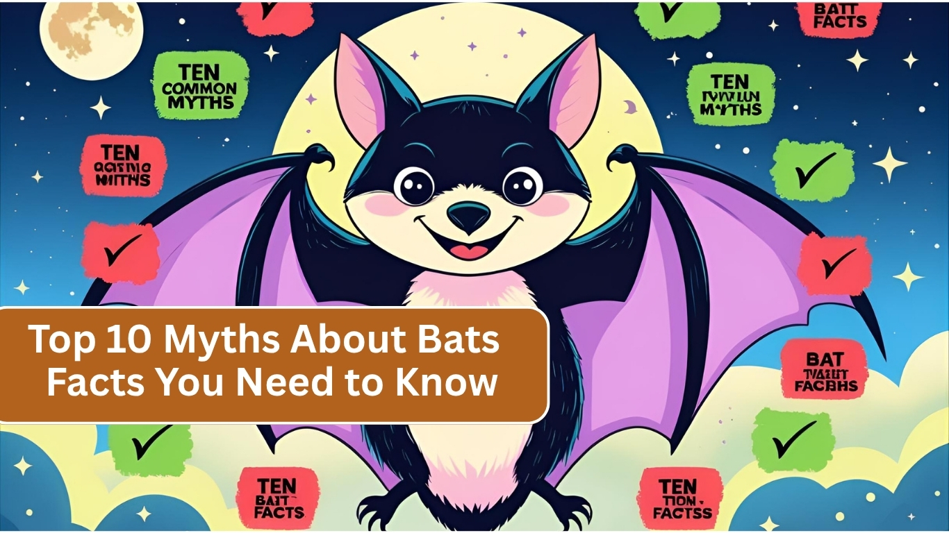 Top 10 Myths About Bats